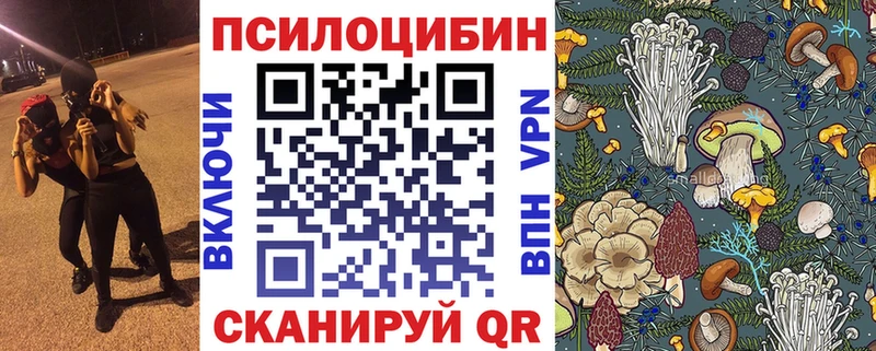 Псилоцибиновые грибы Cubensis  mega рабочий сайт  Анадырь  купить  цена 
